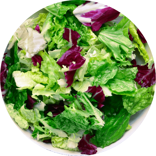 Gemischter grüner Salat